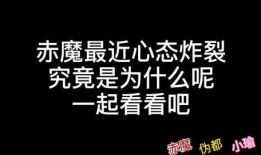 新版本爆料第二期视频,揭秘游戏新内容与更新亮点