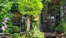 家庭花园爆料视频大全集,揭秘园艺达人私藏视频大全集